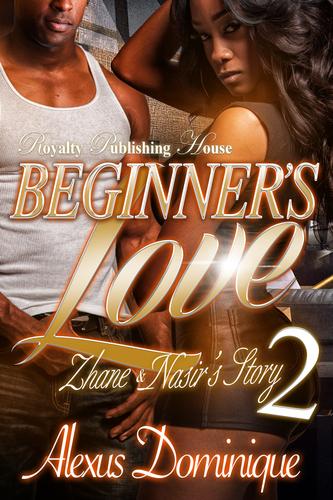 Cover image for Beginner's Love 2