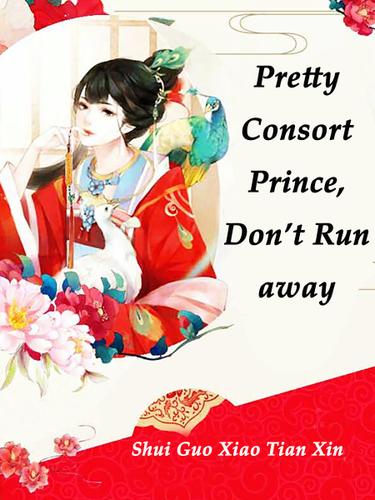 Cover image for Pretty Consort: Prince, Dont Run away