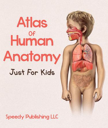 Cover image for Atlas Of Human Anatomy Just For Kids