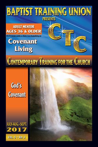 Cover image for Adult Mentor