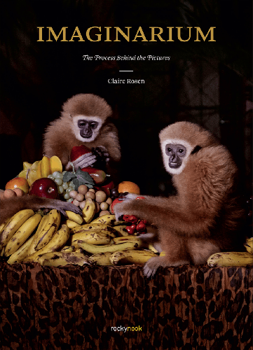 Cover image for Imaginarium