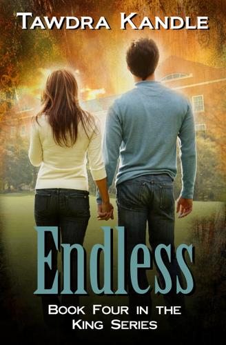 Cover image for Endless