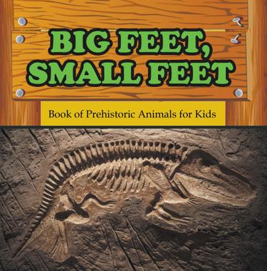 Cover image for Big Feet, Small Feet : Book of Prehistoric Animals for Kids