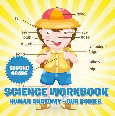 Cover image for Second Grade Science Workbook: Human Anatomy - Our Bodies