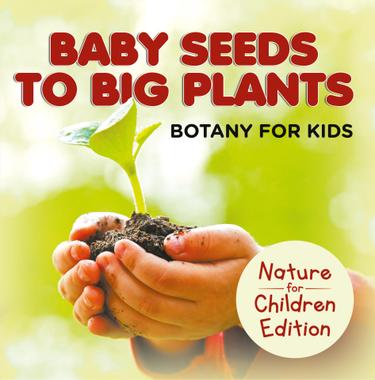 Cover image for Baby Seeds To Big Plants: Botany for Kids | Nature for Children Edition