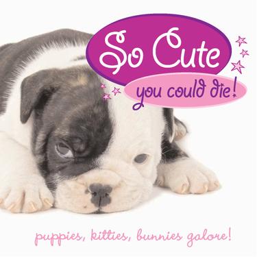 Cover image for So Cute You Could Die!