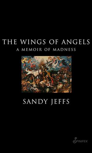 Cover image for The Wings of Angels