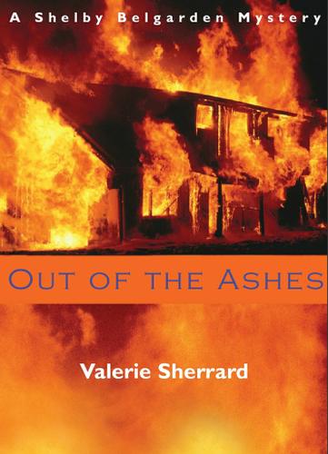 Cover image for Out of the Ashes