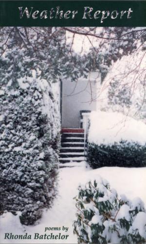 Cover image for Weather Report