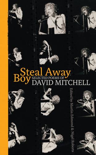 Cover image for Steal Away Boy