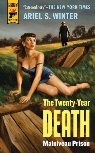 Cover image for Malniveau Prison (The Twenty-Year Death Trilogy Book 1)