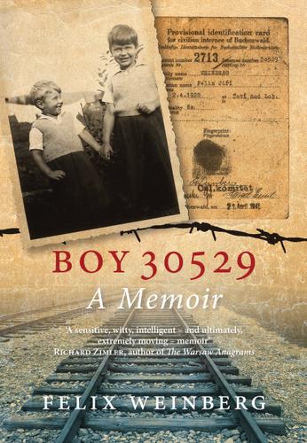 Cover image for Boy 30529