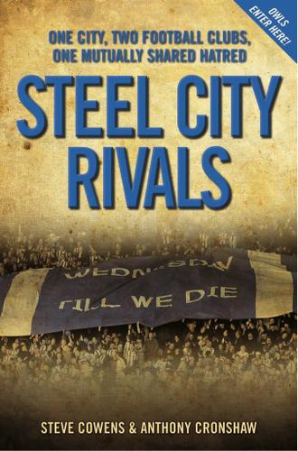 Cover image for Steel City Rivals