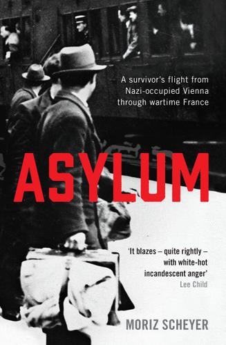 Cover image for Asylum