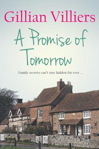 Cover image for Family Matters