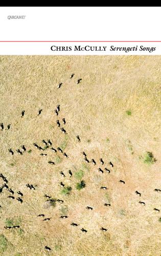 Cover image for Serengeti Songs