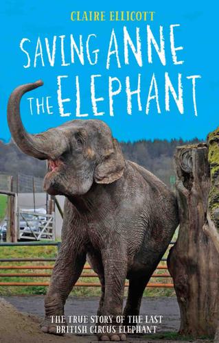 Cover image for Saving Anne the Elephant
