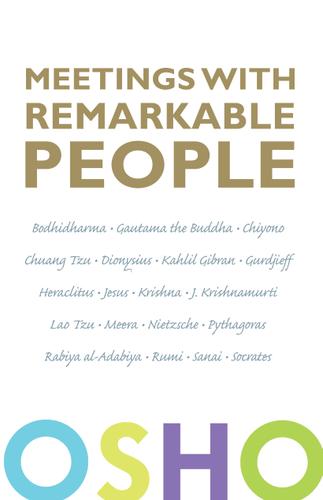 Cover image for Meetings with Remarkable People
