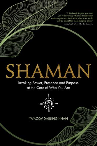 Cover image for Shaman