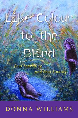 Cover image for Like Colour to the Blind