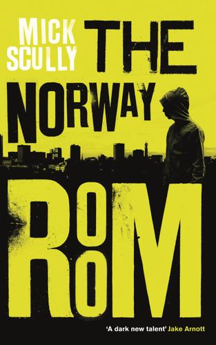 Cover image for The Norway Room