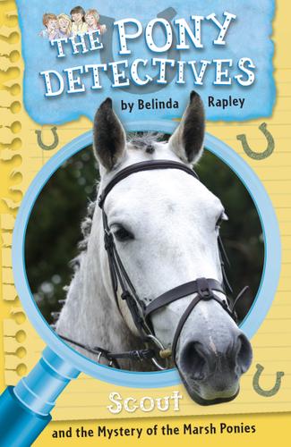 Cover image for Scout and the Mystery of the Marsh Ponies