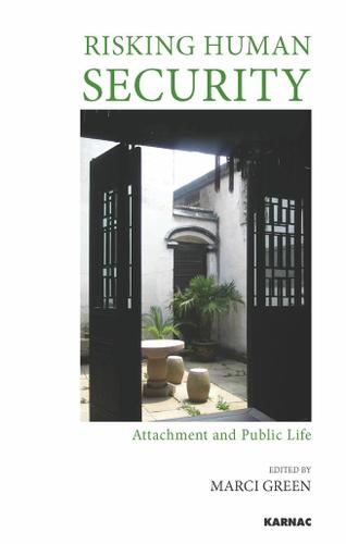 Cover image for Risking Human Security