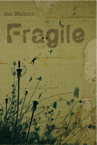 Cover image for Fragile