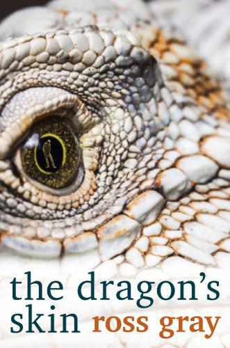 Cover image for The Dragon's Skin