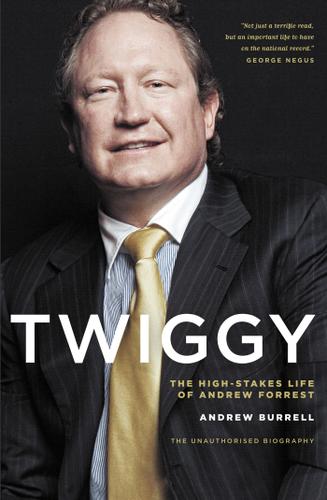 Cover image for Twiggy
