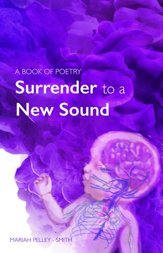 Cover image for Surrender to a New Sound