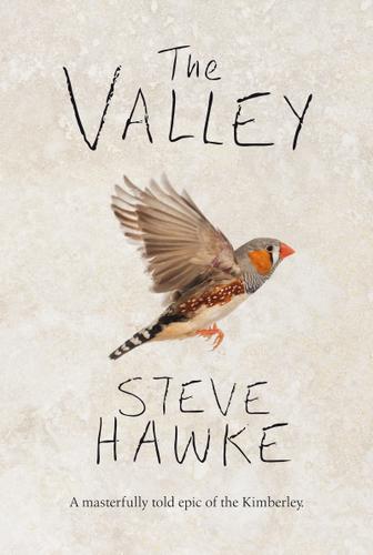 Cover image for The Valley