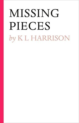 Cover image for Missing Pieces