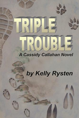 Cover image for Triple Trouble: A Cassidy Callahan Novel