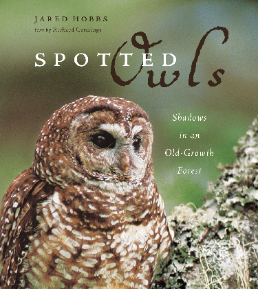 Cover image for Spotted Owls