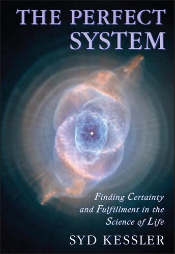 Cover image for The Perfect System