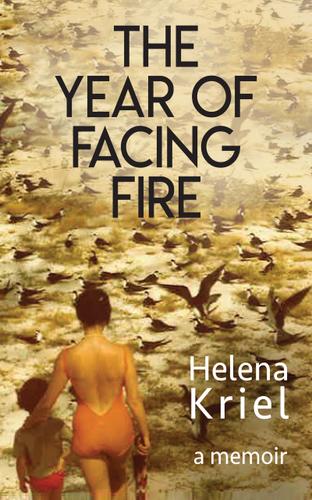 Cover image for The Year of Facing Fire
