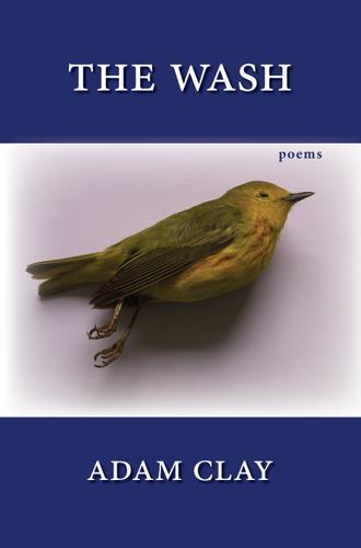 Cover image for Wash, The