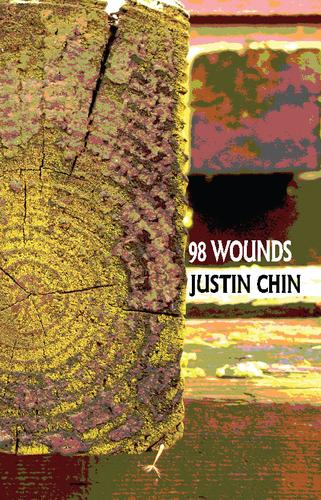 Cover image for 98 Wounds