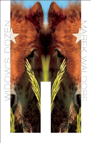 Cover image for Widow's Dozen