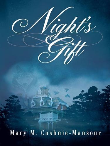 Cover image for Night's Gift