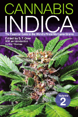 Cover image for Cannabis Indica Volume 2