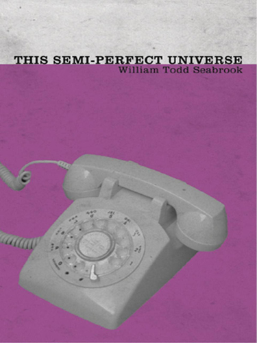 Cover image for This Semi-Perfect Universe