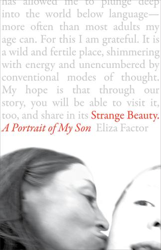 Cover image for Strange Beauty