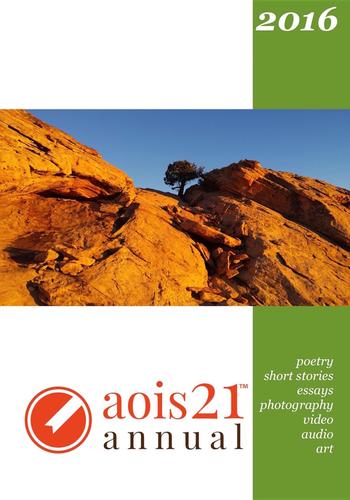 Cover image for the aois21 annual 2016