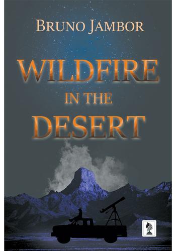 Cover image for Wildfire in The Desert