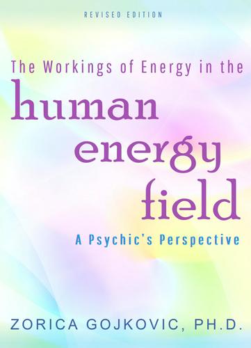 Cover image for The Workings of Energy in the Human Energy Field