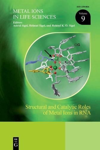 Cover image for Structural and Catalytic Roles of Metal Ions in RNA
