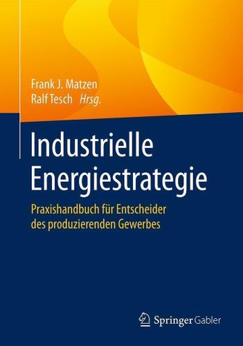 Cover image for Industrielle Energiestrategie
