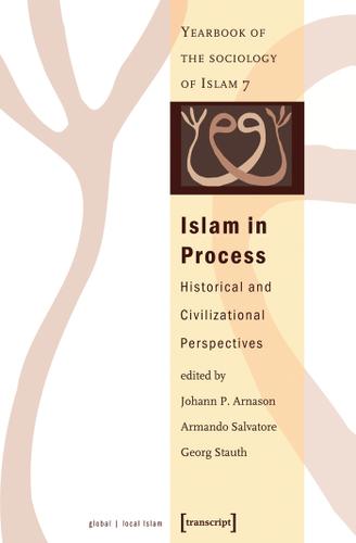 Cover image for Islam in Process